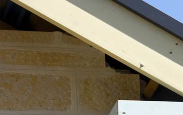 soffit repair Bluntshay