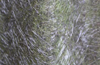 Bluntshay fibreglass roof work